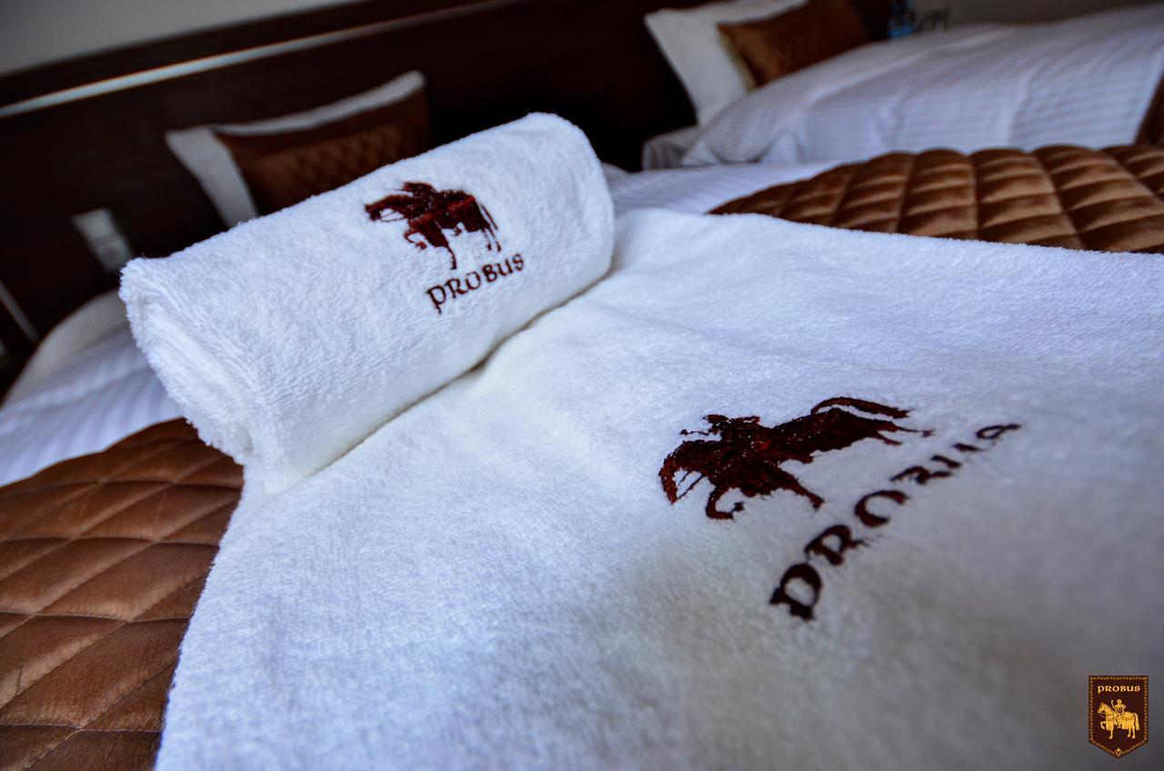 Ctkir Browar Probus Aparthotel Oława Buitenkant foto
